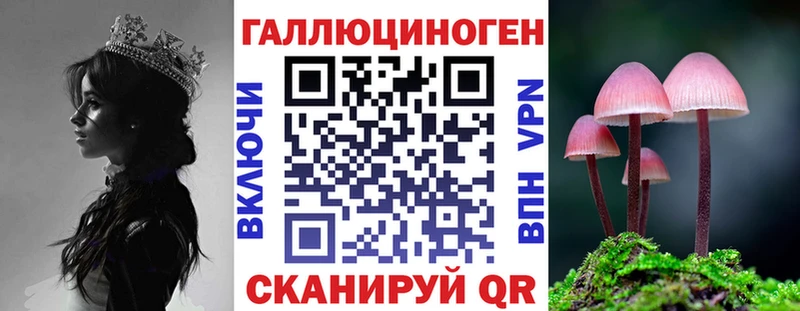 Купить где  Краснокаменск  Галлюциногенные грибы Psilocybine cubensis 